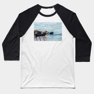 Female Sea Lion Baseball T-Shirt